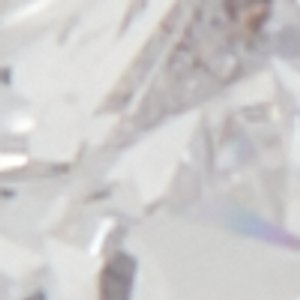 Aschianamini - Image 3