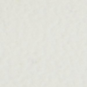 Sandflower - Image 8