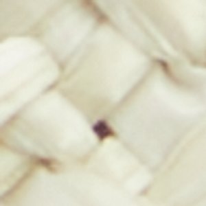 Seaexplorer - Image 9