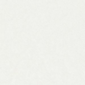 Wildflowers - Image 8