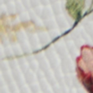 Chiccomfort - Image 8