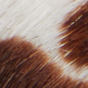 Chicsneaker - Image 8