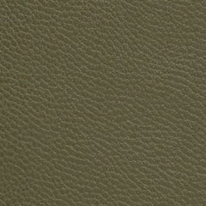 Evielilyyx - Image 6