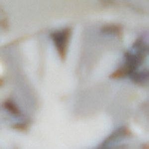 Halobandra - Image 3