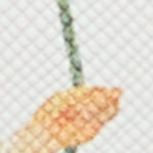 Lothycannx - Image 6