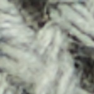 Ccoastbreeze - Image 9