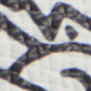 Timothy Goodman - Image 10