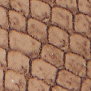 Anitabrilden - Image 8