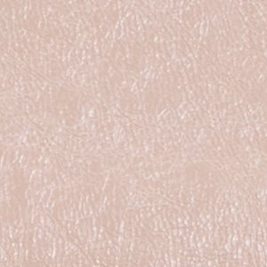 Alesandraa - Image 6