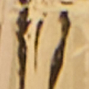 Cornicello - Image 2